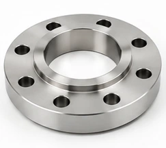 Slip On Flange